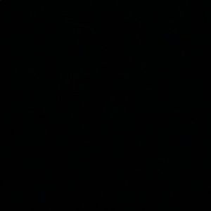 Meet your Posher, Mia